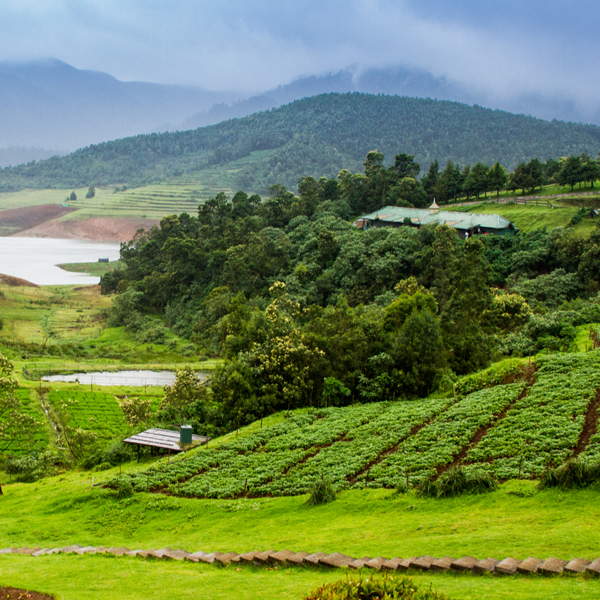 One Day Package Tours from Chennai to Ooty