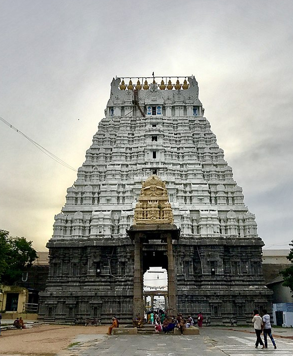 Chennai to Kanchipuram One Day Tour Varadharaja Perumal Temple