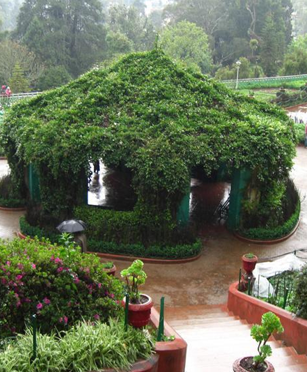 Chennai to Pondicherry One Day Trip Botanical Garden