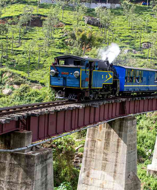 Chennai to Ooty One Day Package Tea Factory and Museum