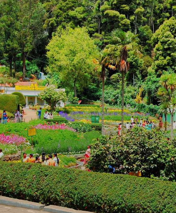 Bryant Park - Chennai to Kodaikanal One Day Package